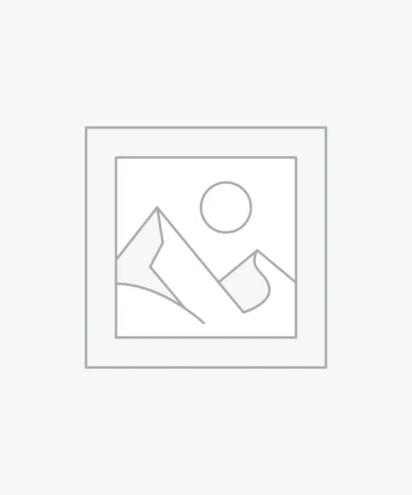 Uncategorized